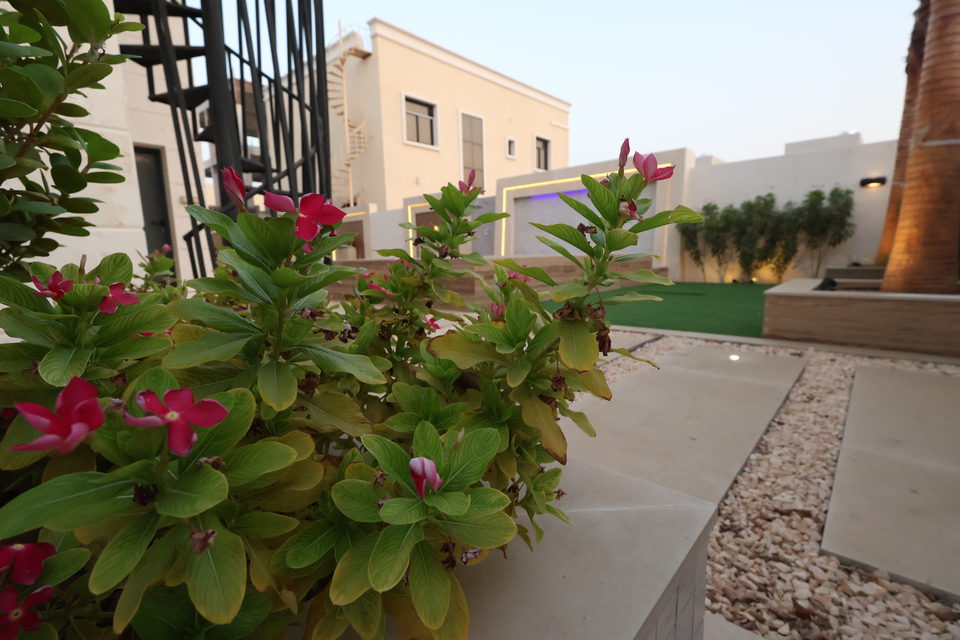 A20 landscape project by Vida Landscapes, Ajman — photography view 28