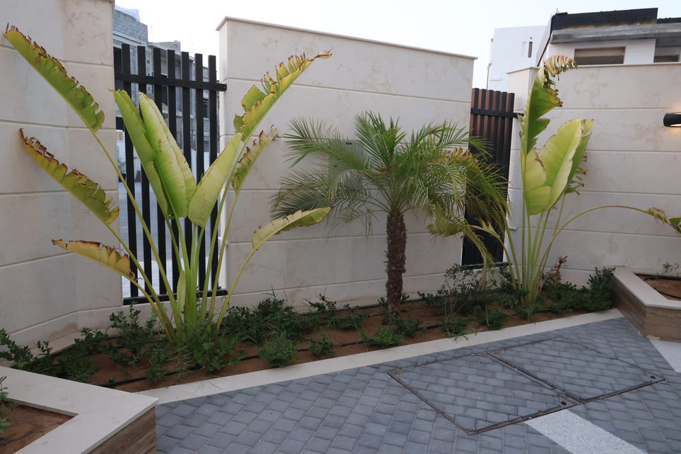 A20 landscape project by Vida Landscapes, Ajman — photography view 33