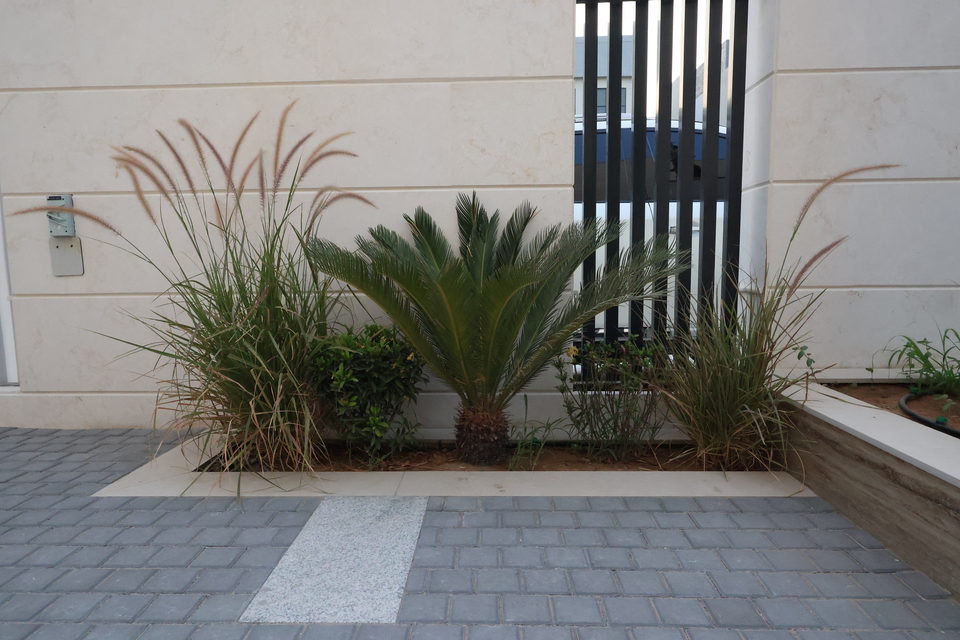 A20 landscape project by Vida Landscapes, Ajman — photography view 34