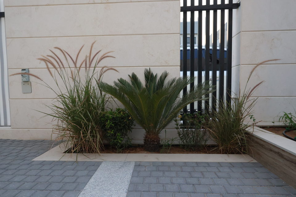 A20 landscape project by Vida Landscapes, Ajman — photography view 35