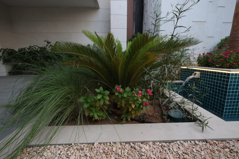 A20 landscape project by Vida Landscapes, Ajman — photography view 48