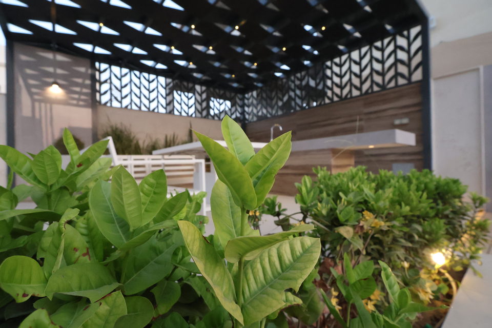 A20 landscape project by Vida Landscapes, Ajman — photography view 58