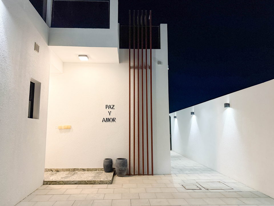 A21 landscape project by Vida Landscapes, Ajman — daytime view 29