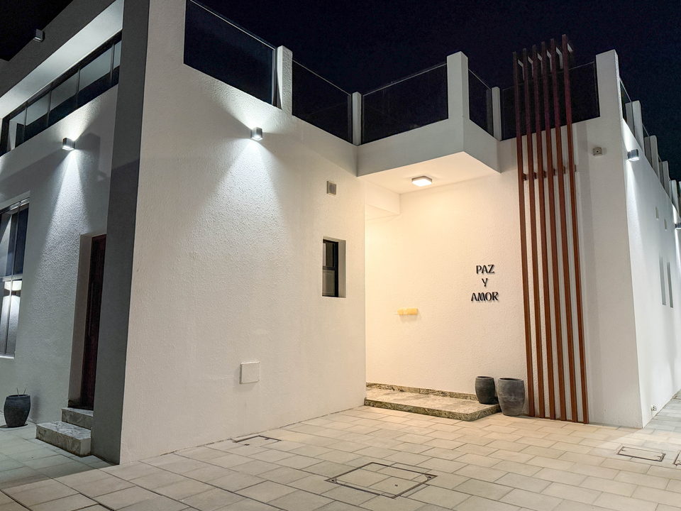 A21 landscape project by Vida Landscapes, Ajman — daytime view 31
