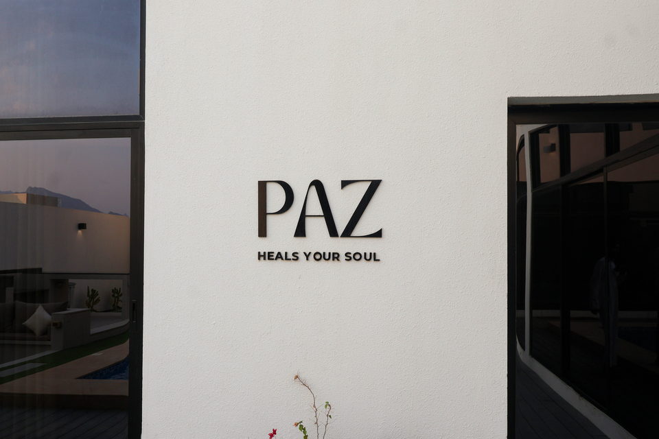 A21 landscape project by Vida Landscapes, Ajman — daytime view 36