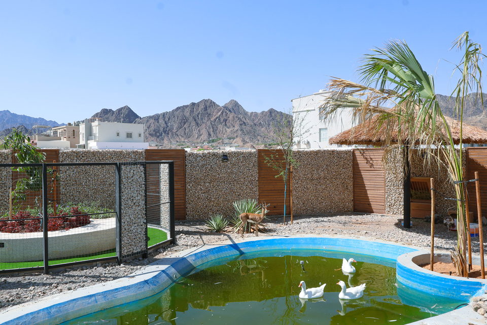 A22 landscape project by Vida Landscapes, Masfout — daytime view 8