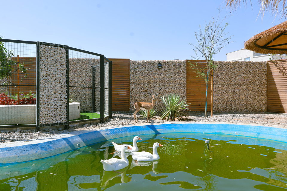 A22 landscape project by Vida Landscapes, Masfout — daytime view 9