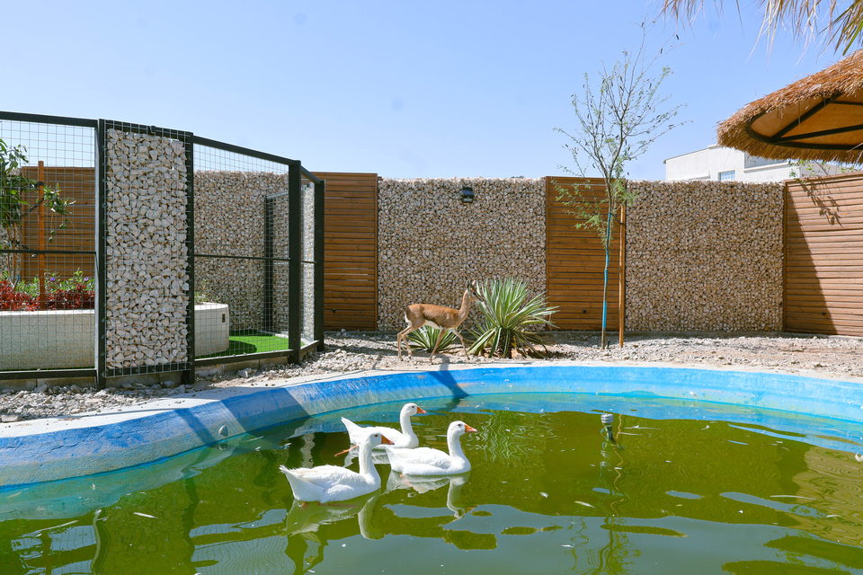 A22 landscape project by Vida Landscapes, Masfout — daytime view 10