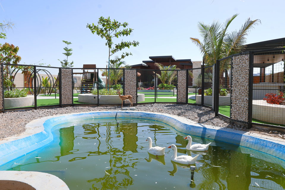 A22 landscape project by Vida Landscapes, Masfout — daytime view 11