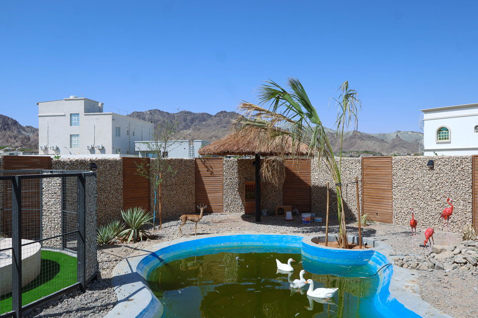 A22 landscape project by Vida Landscapes, Masfout — daytime view 12