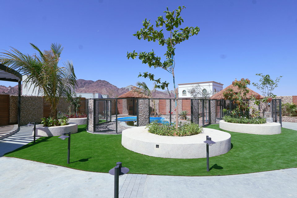 A22 landscape project by Vida Landscapes, Masfout — daytime view 17