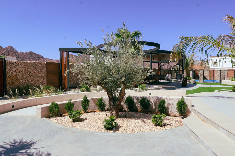 A22 landscape project by Vida Landscapes, Masfout — daytime view 32