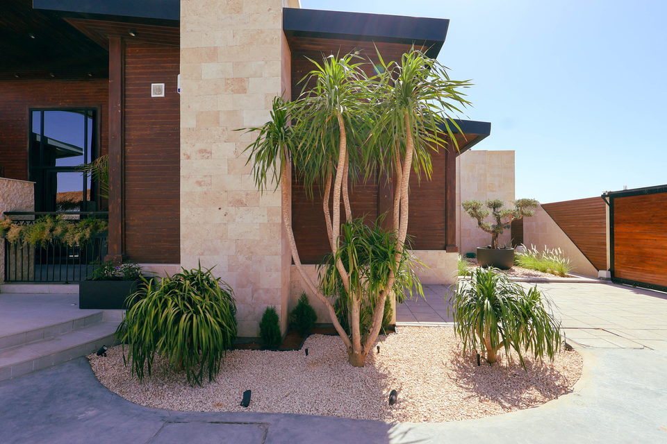 A22 landscape project by Vida Landscapes, Masfout — daytime view 33