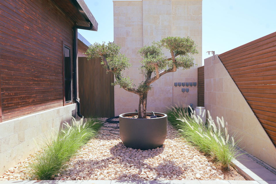 A22 landscape project by Vida Landscapes, Masfout — daytime view 34