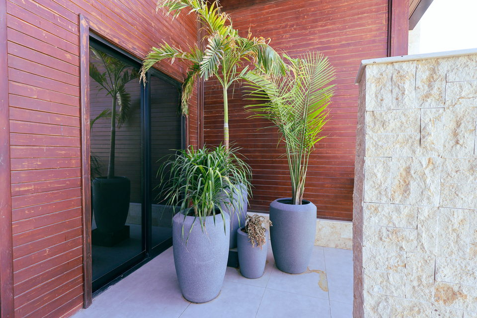A22 landscape project by Vida Landscapes, Masfout — daytime view 39