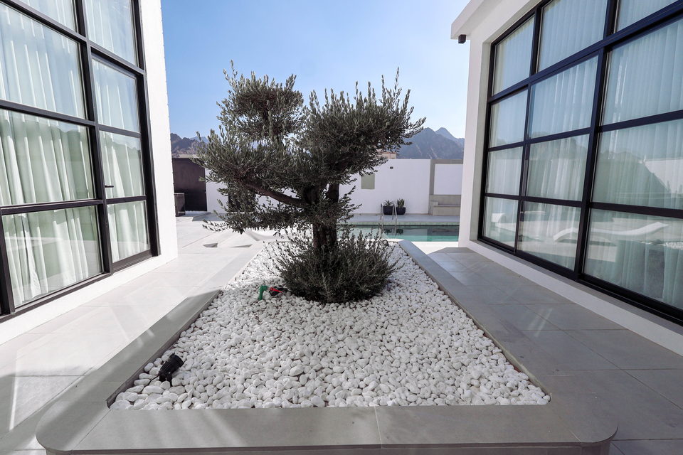 A23 landscape project by Vida Landscapes, Masfout, Ajman — daytime view 29