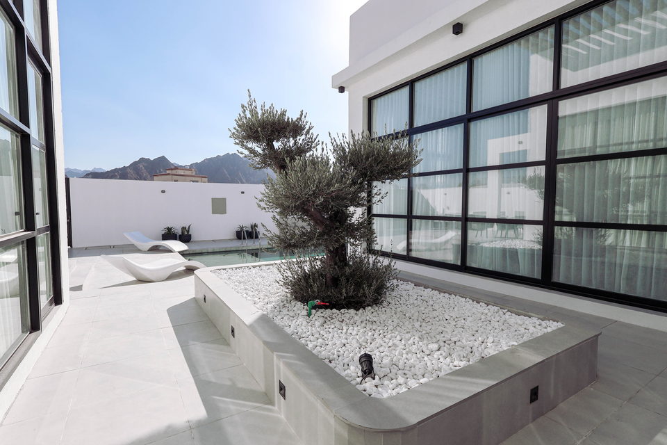 A23 landscape project by Vida Landscapes, Masfout, Ajman — daytime view 30