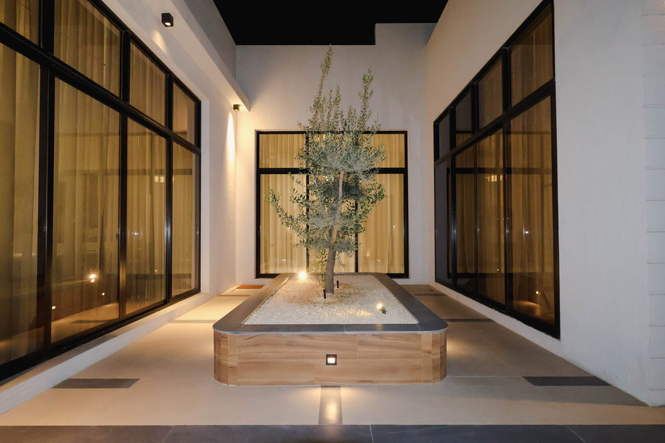A29 landscape project by Vida Landscapes, Ajman — at night view 6