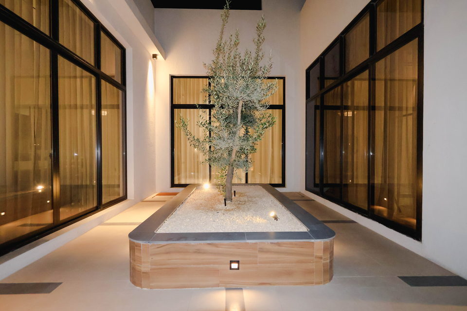 A29 landscape project by Vida Landscapes, Ajman — at night view 33