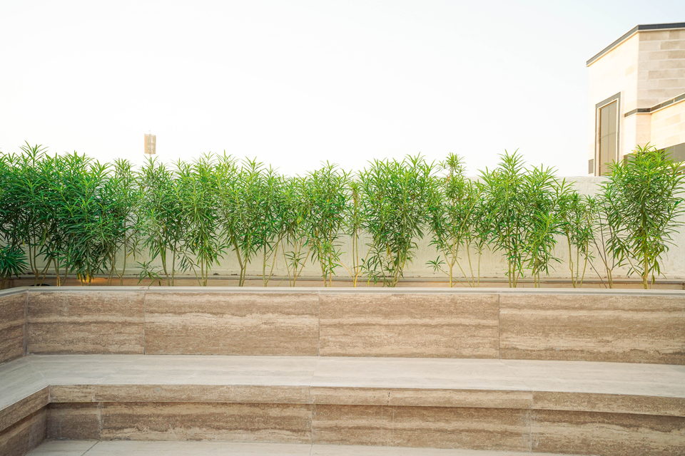 A42 landscape project by Vida Landscapes, Ajman — photography view 5