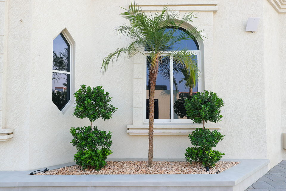 A49 landscape project by Vida Landscapes, Ajman — photography view 13