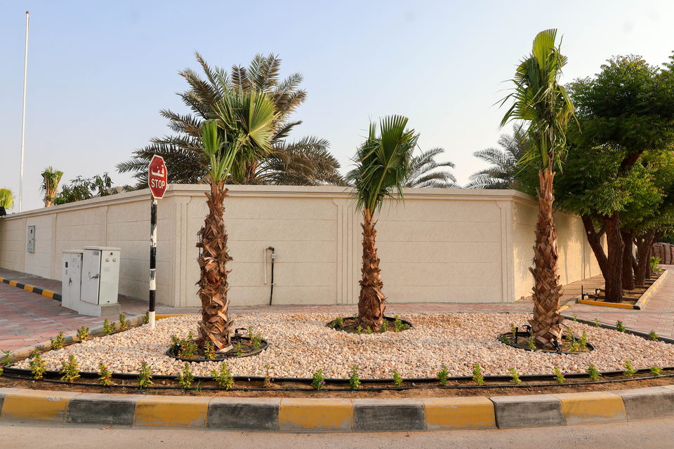A49 landscape project by Vida Landscapes, Ajman — photography view 23
