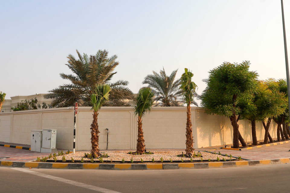 A49 landscape project by Vida Landscapes, Ajman — photography view 24