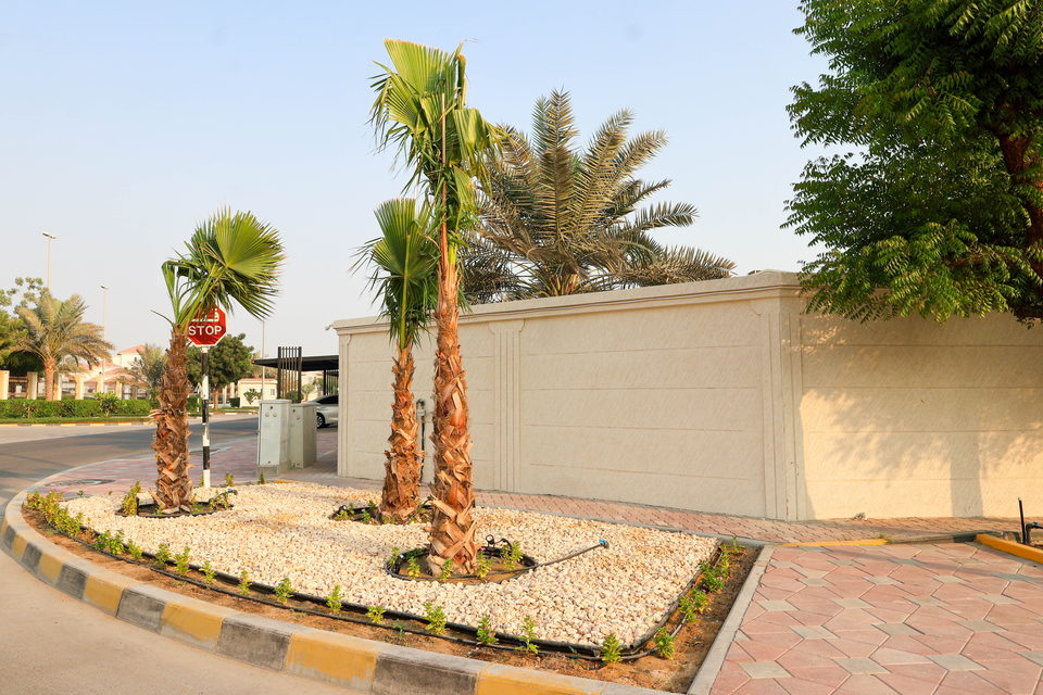 A49 landscape project by Vida Landscapes, Ajman — photography view 25