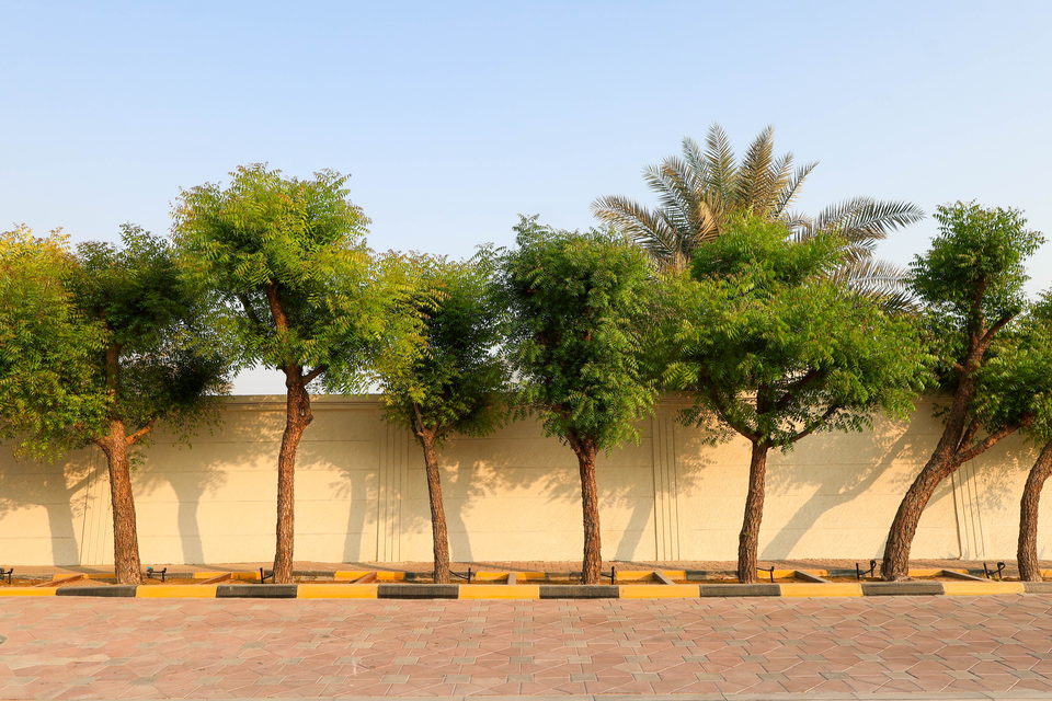 A49 landscape project by Vida Landscapes, Ajman — photography view 27