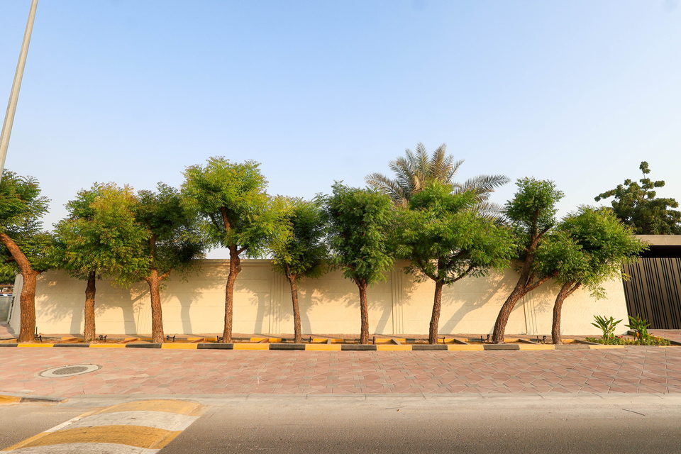 A49 landscape project by Vida Landscapes, Ajman — photography view 28