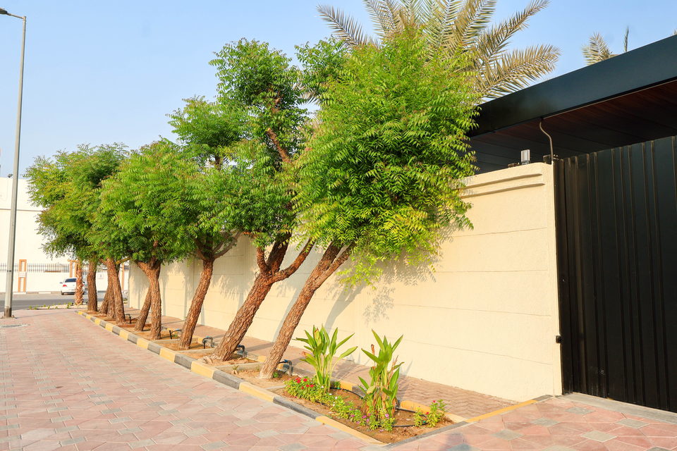 A49 landscape project by Vida Landscapes, Ajman — photography view 30
