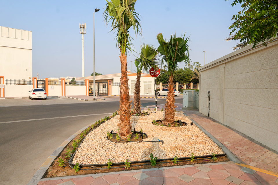A49 landscape project by Vida Landscapes, Ajman — photography view 31