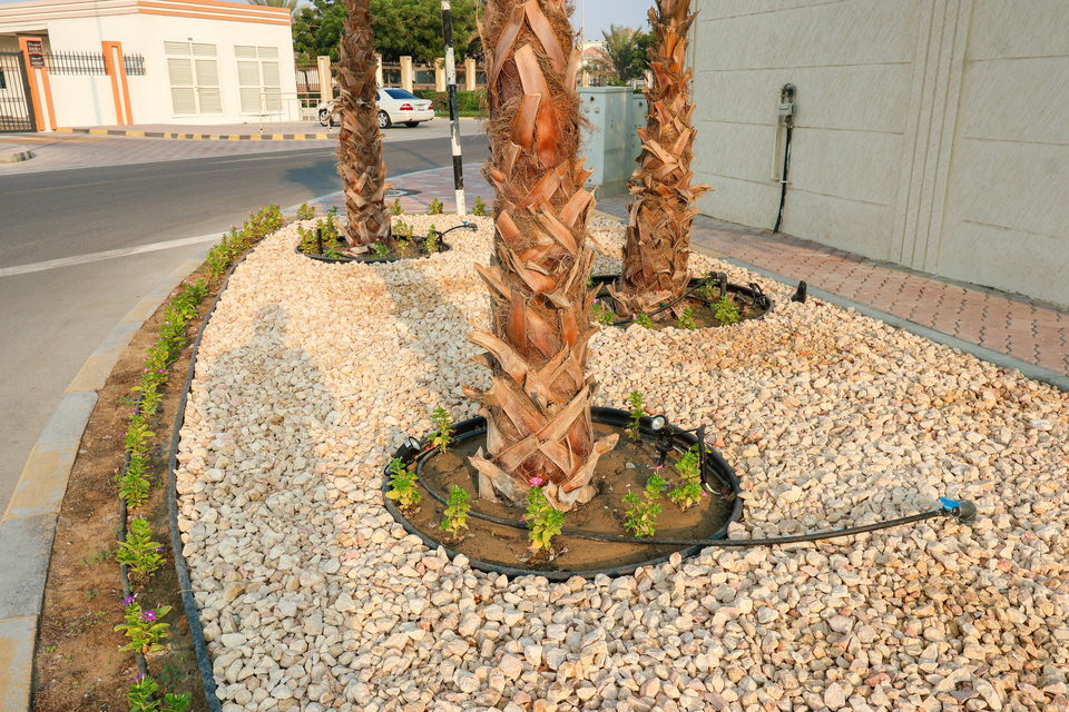 A49 landscape project by Vida Landscapes, Ajman — photography view 32