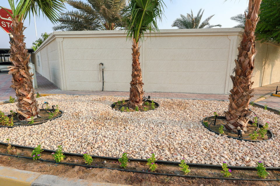 A49 landscape project by Vida Landscapes, Ajman — photography view 33