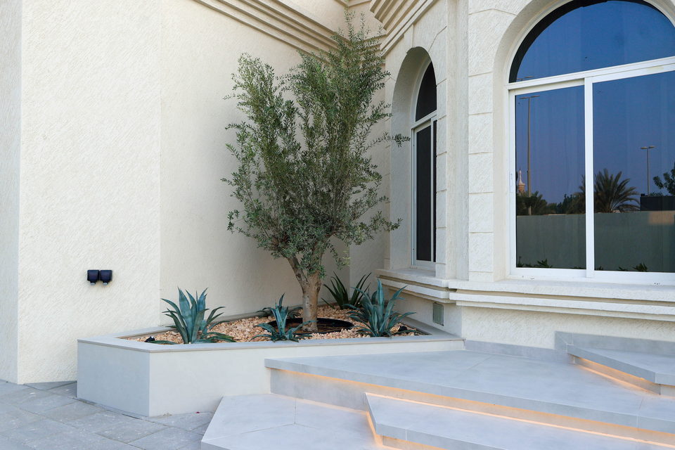 A49 landscape project by Vida Landscapes, Ajman — photography view 84