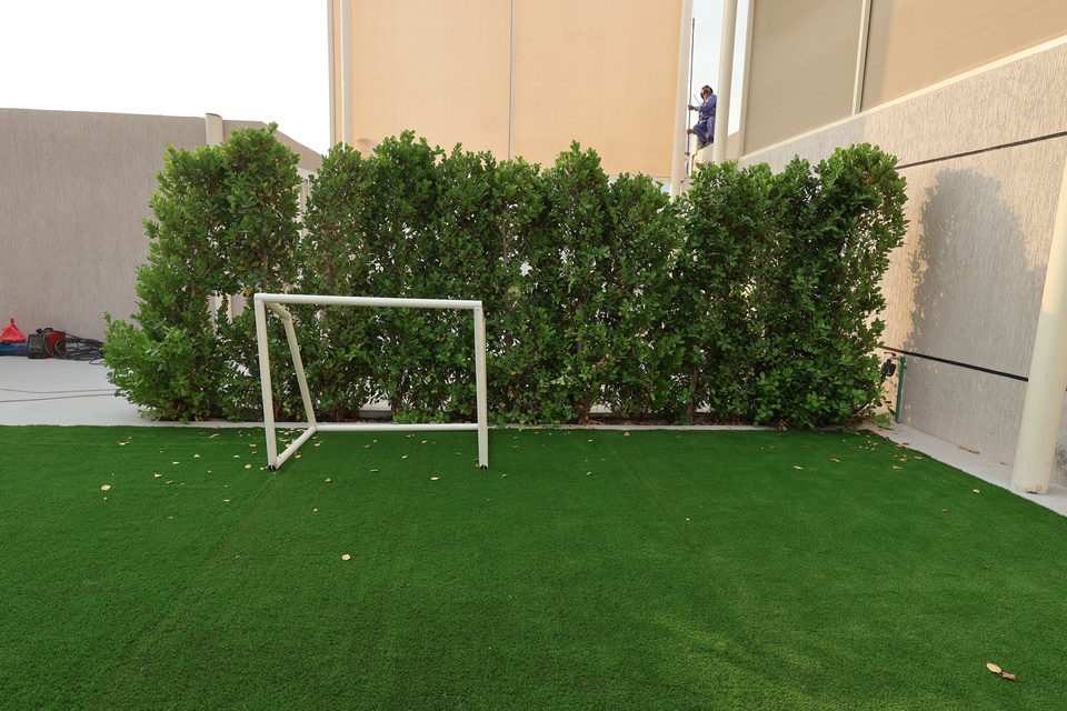 D47 landscape project by Vida Landscapes, Dubai — photography view 39