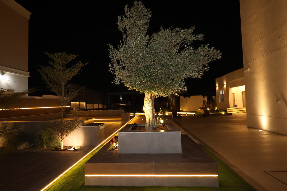 R-40 landscape project by Vida Landscapes — photography view 14