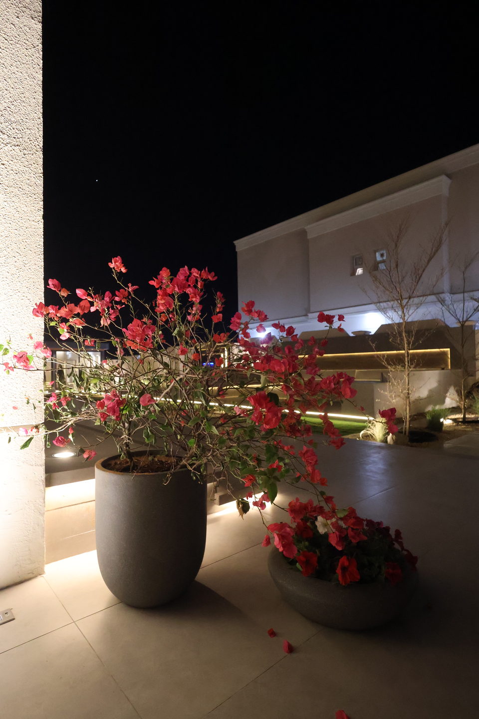 R-43 landscape project by Vida Landscapes, Ras Al Khaimah — photography view 22